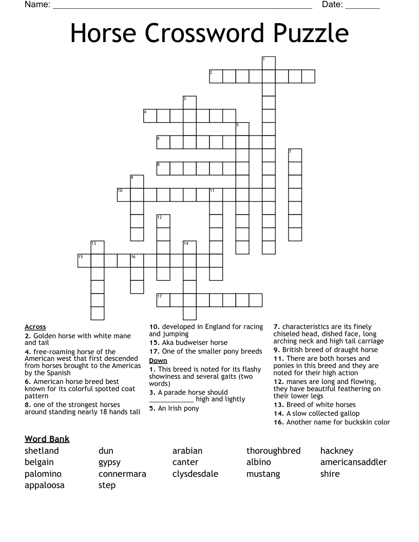 Horse Crossword Puzzle