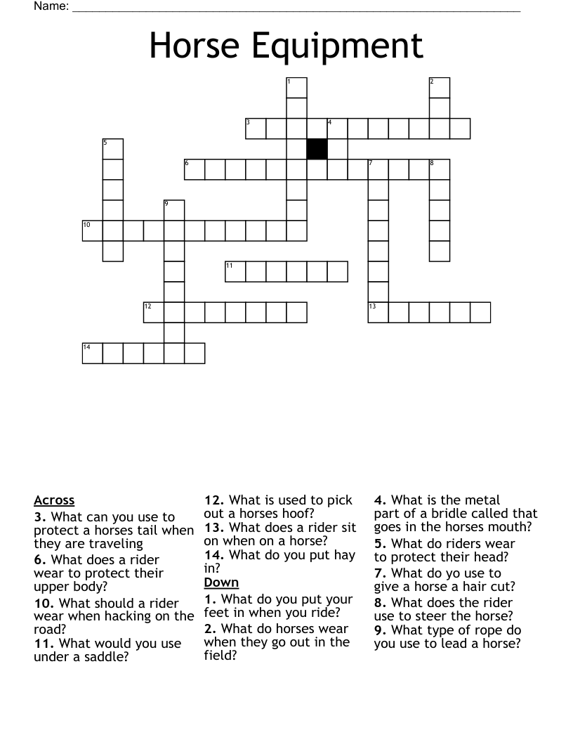 Horse Equipment Crossword