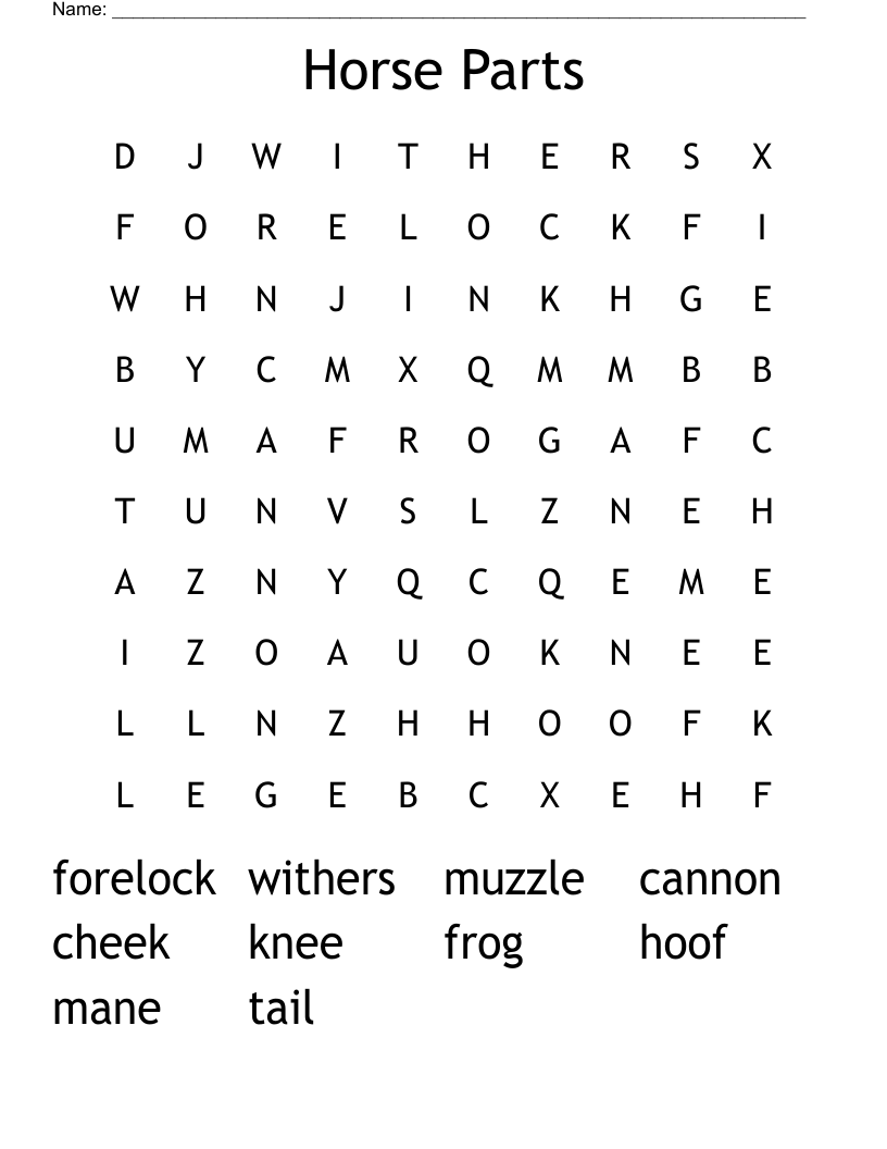 Horse Parts Word Search
