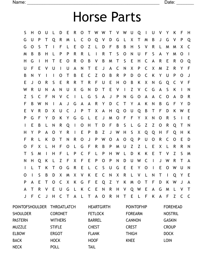 Horse Parts Word Search