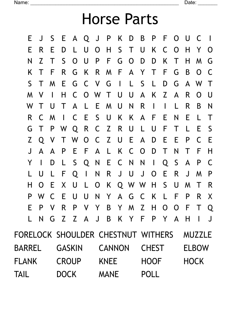 Horse Parts Word Search