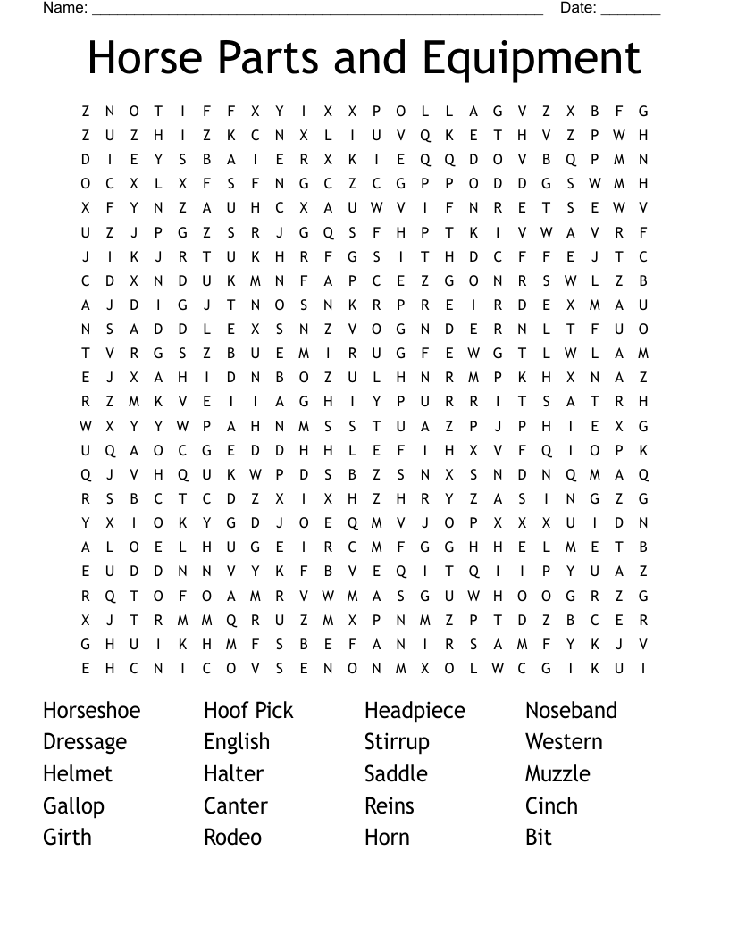 Horse Parts and Equipment  Word Search