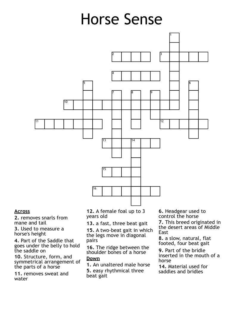Horse Sense Crossword