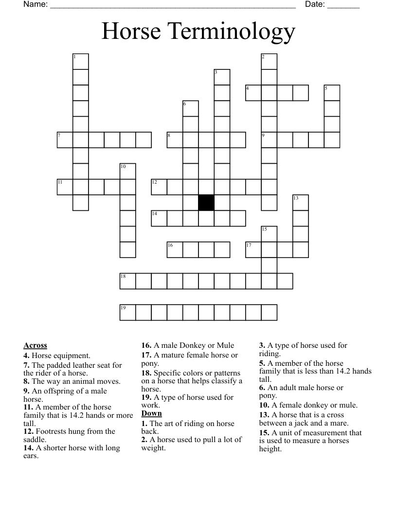 Horse Terminology  Crossword