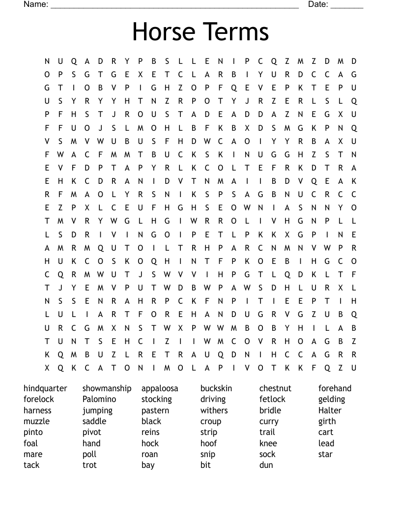 Horse Terms Word Search