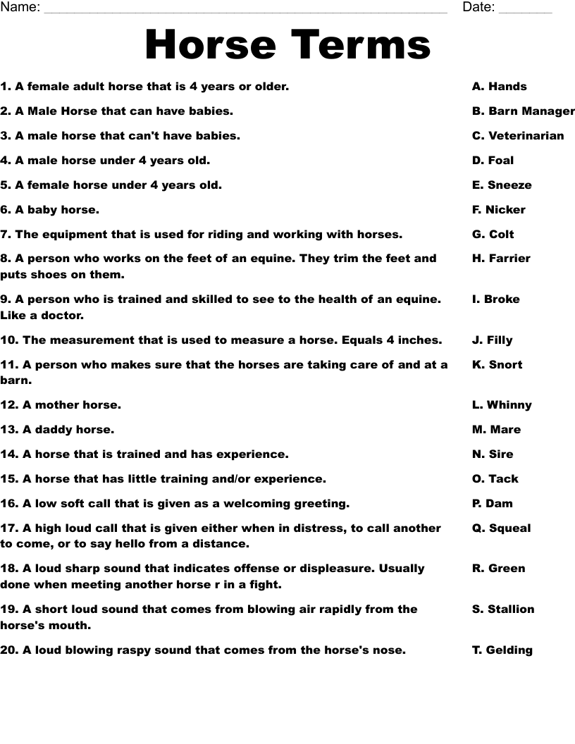 Horse Terms Worksheet