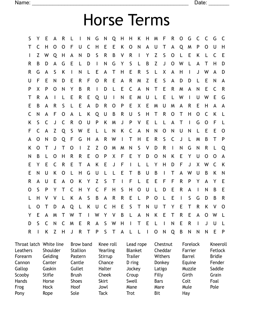 Horse Terms Word Search