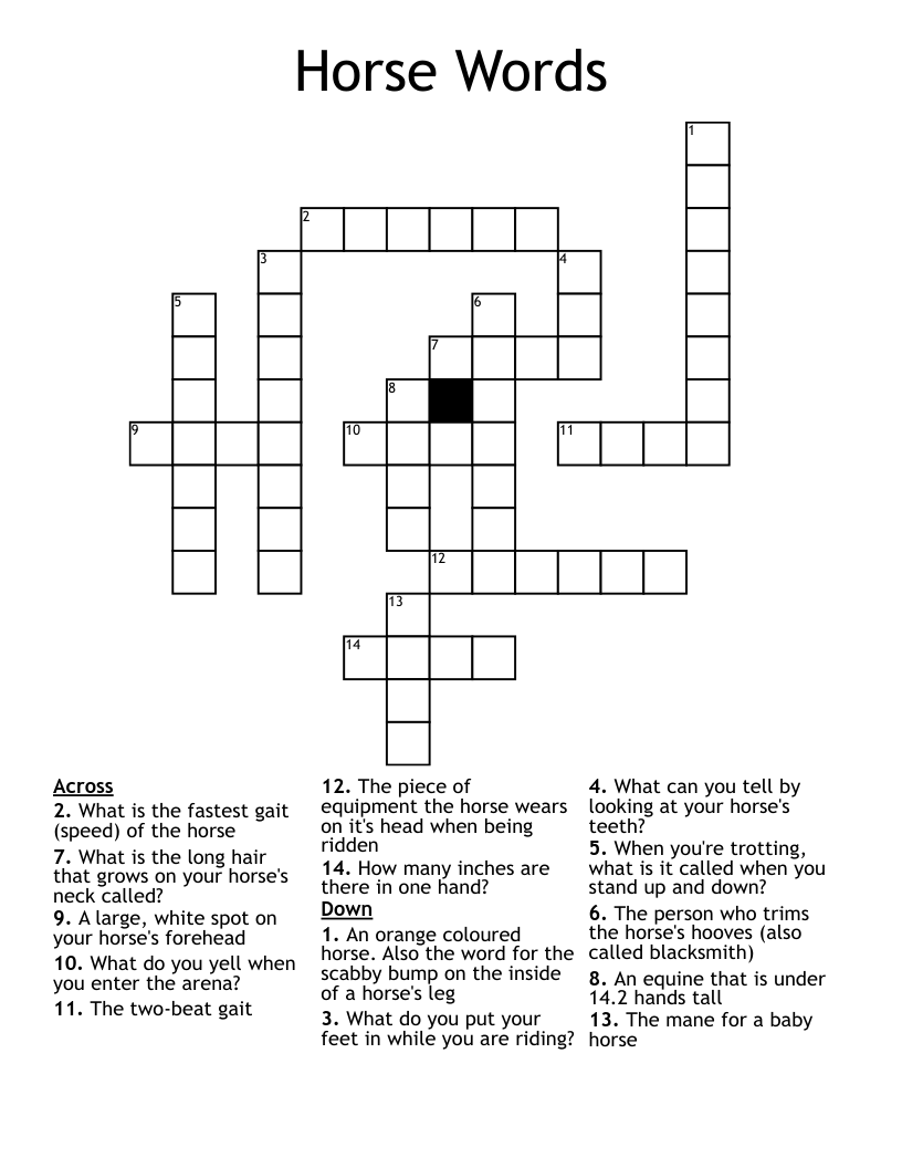 Horse Words Crossword