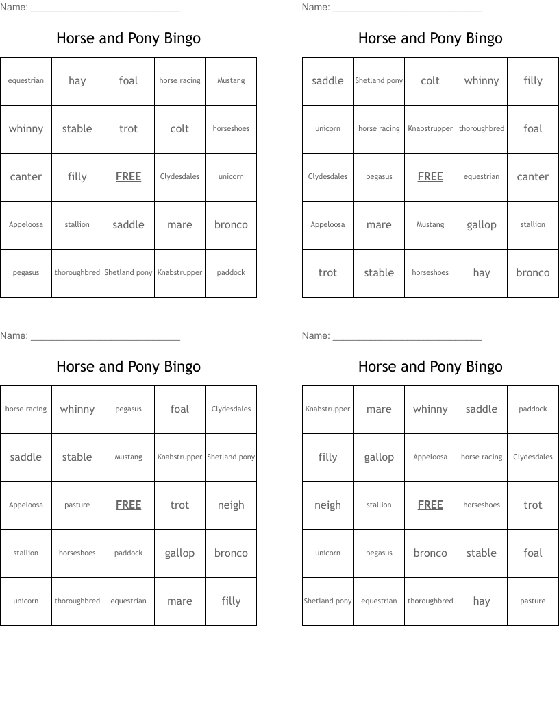 Horse and Pony Bingo