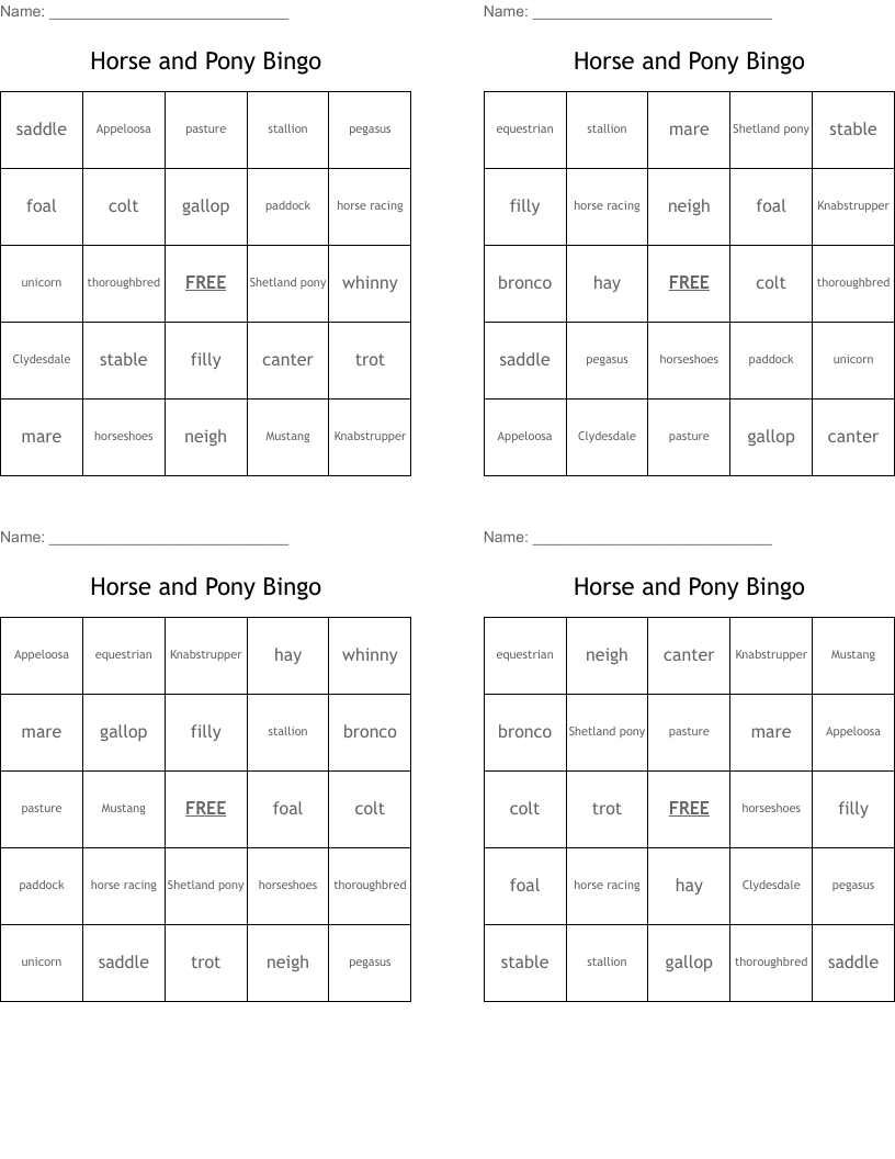 Horse and Pony Bingo