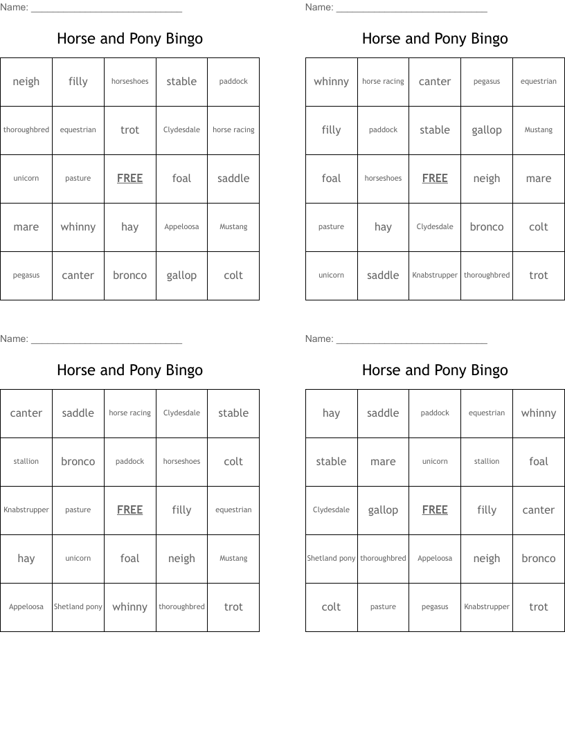 Horse and Pony Bingo