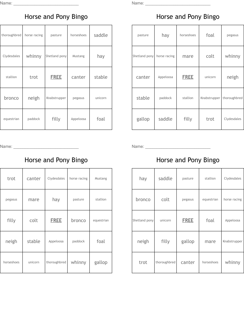 Horse and Pony Bingo