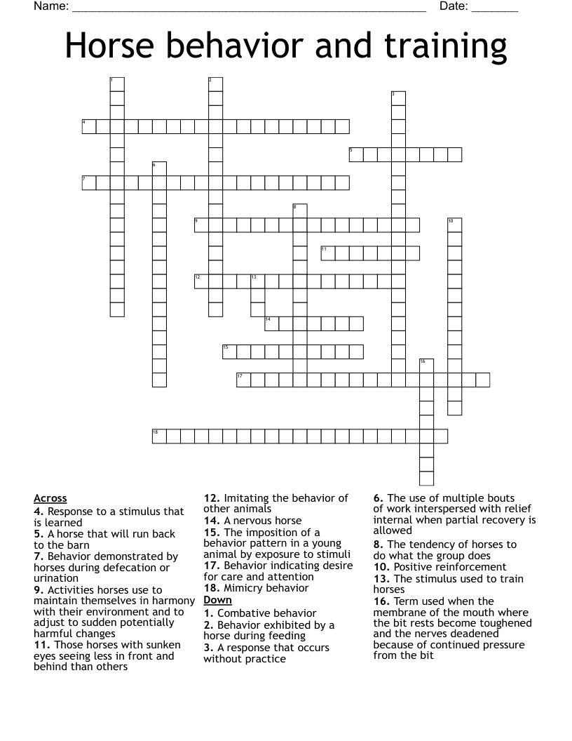 Horse behavior and training  Crossword