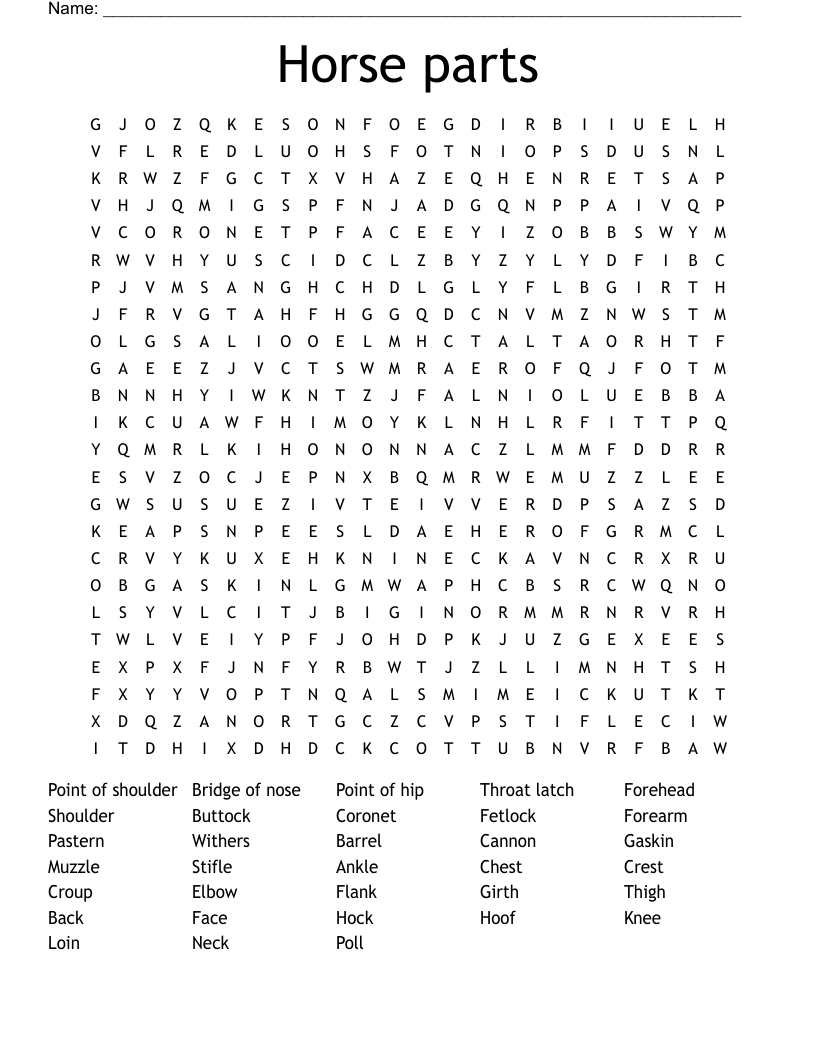 Horse parts Word Search