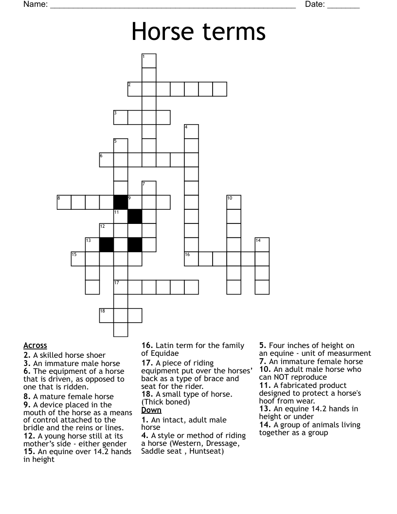 Horse terms Crossword