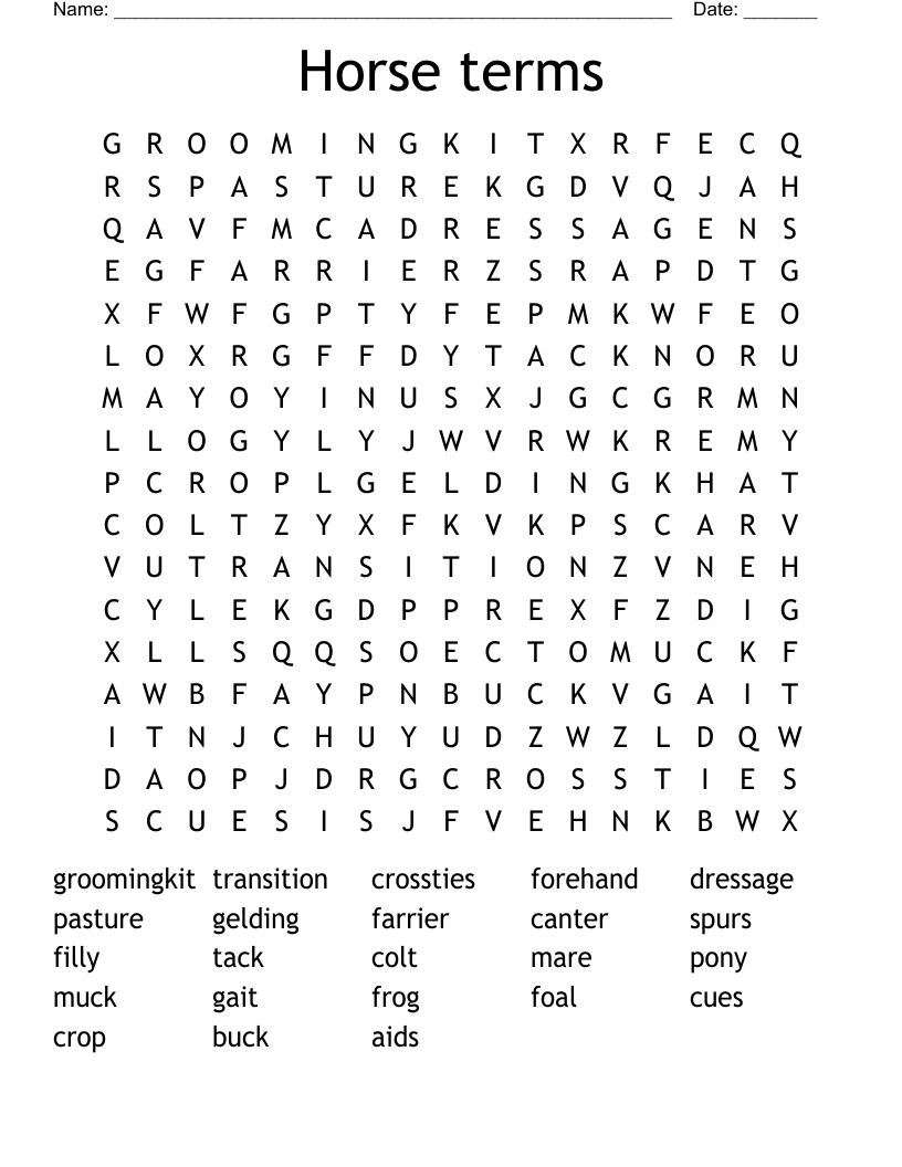 Horse terms Word Search