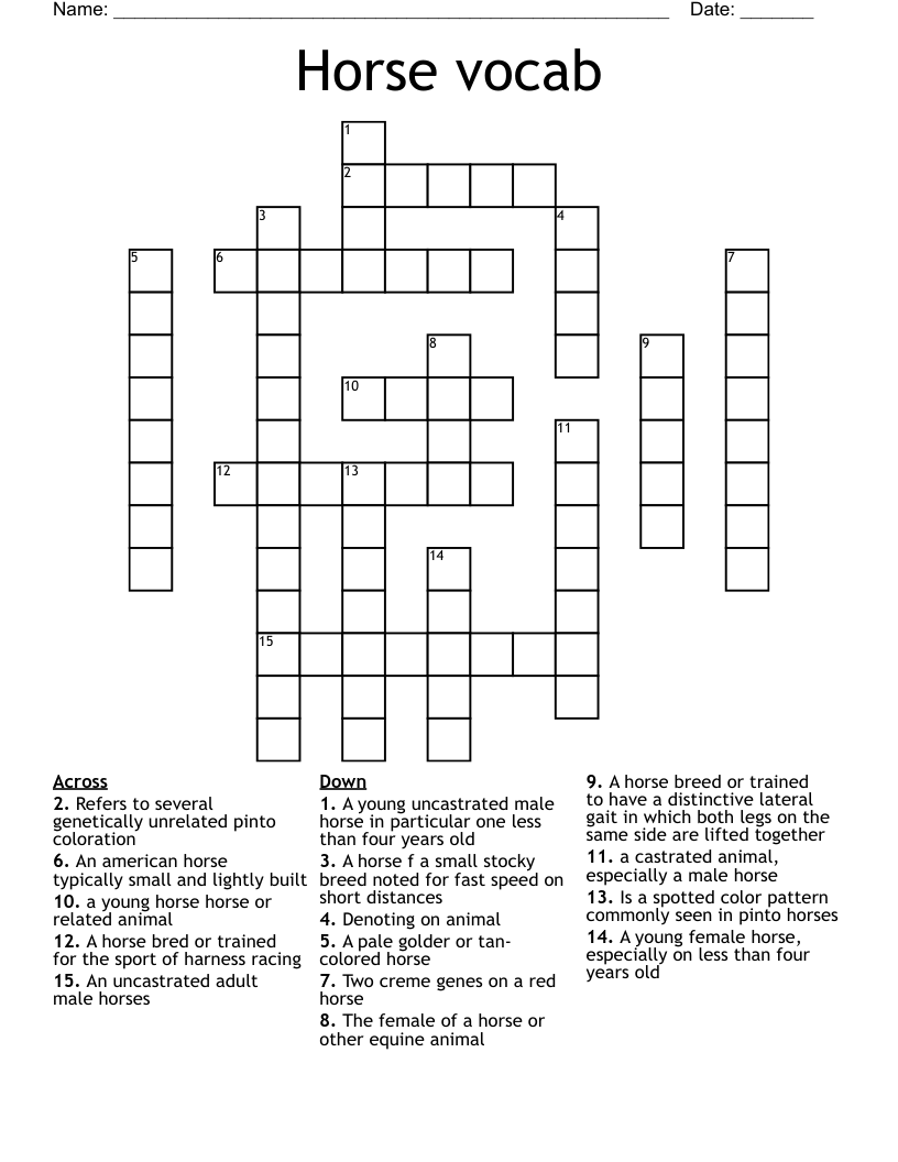 Horse vocab Crossword
