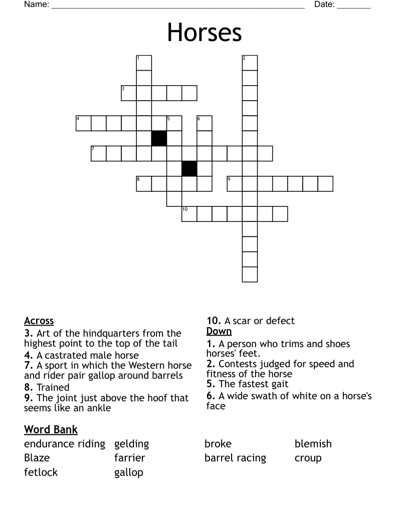 Horses Crossword