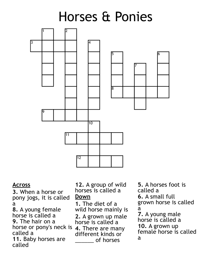 Horses & Ponies Crossword