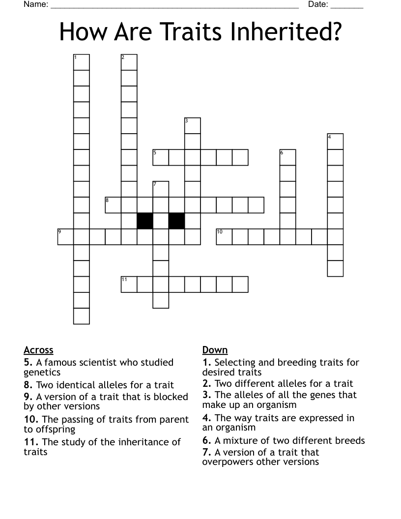 How Are Traits Inherited? Crossword
