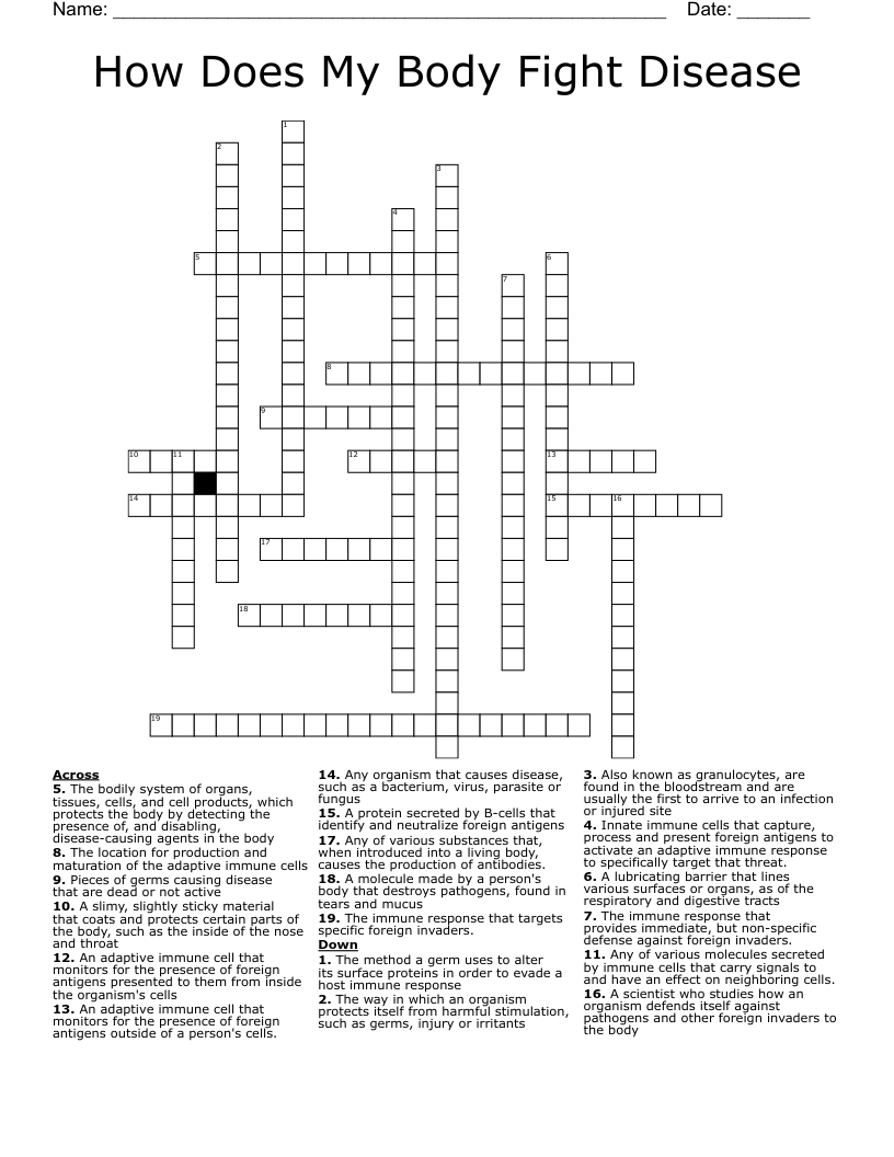 How Does My Body Fight Disease Crossword