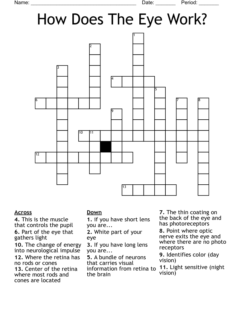 How Does The Eye Work? Crossword