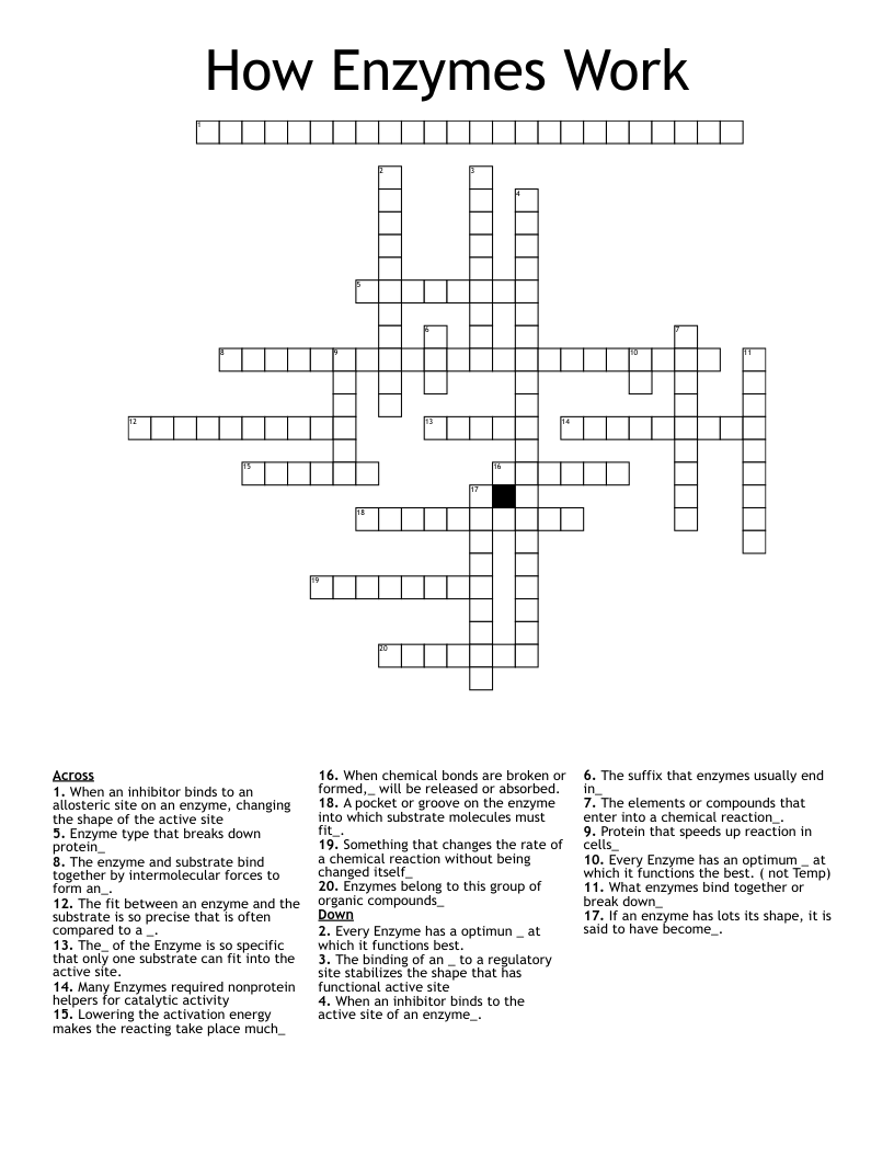 How Enzymes Work  Crossword