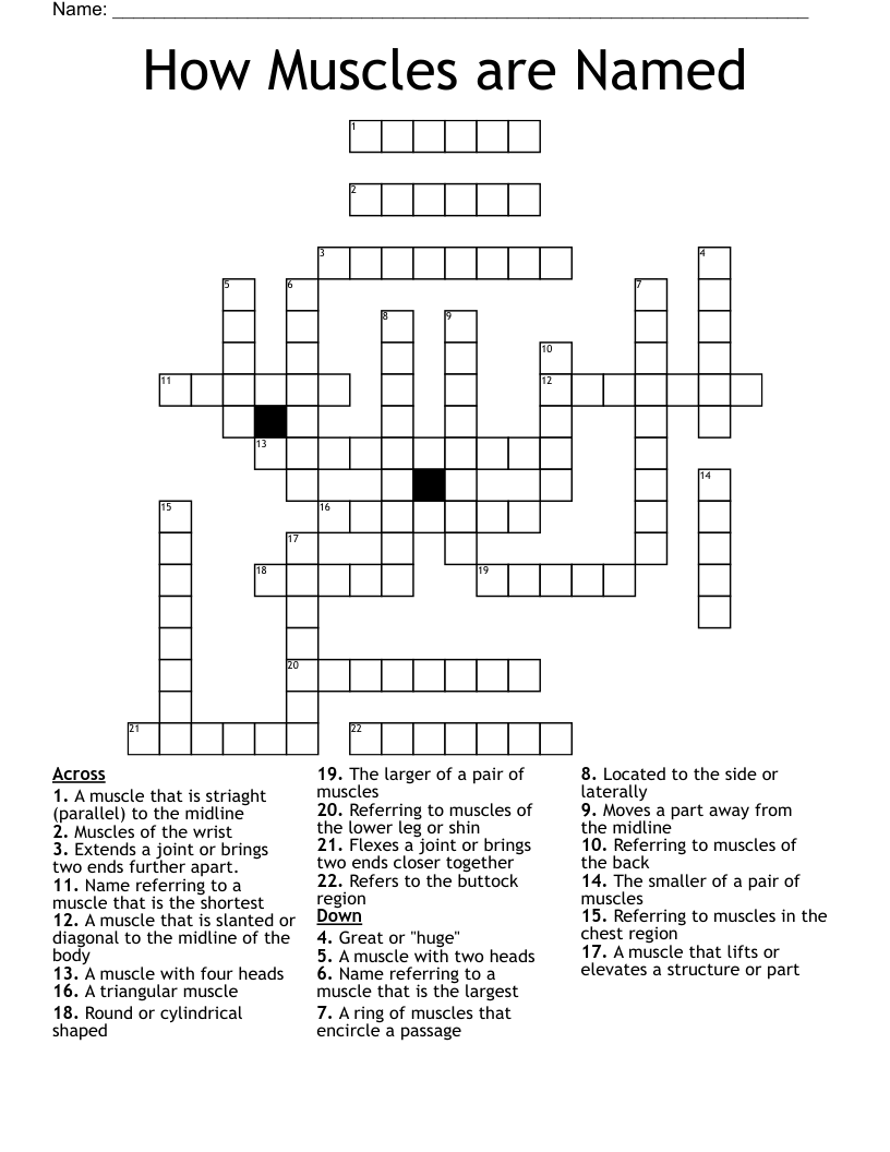 How Muscles are Named Crossword