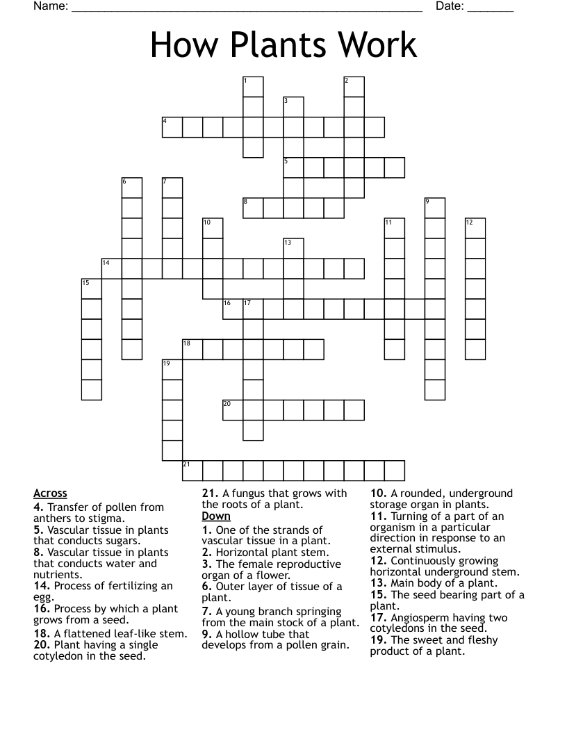 How Plants Work Crossword