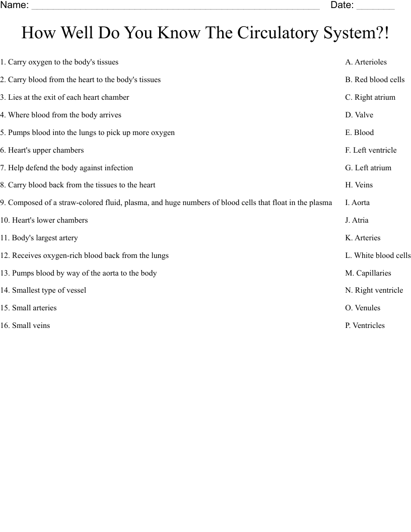 How Well Do You Know The Circulatory System?! Worksheet
