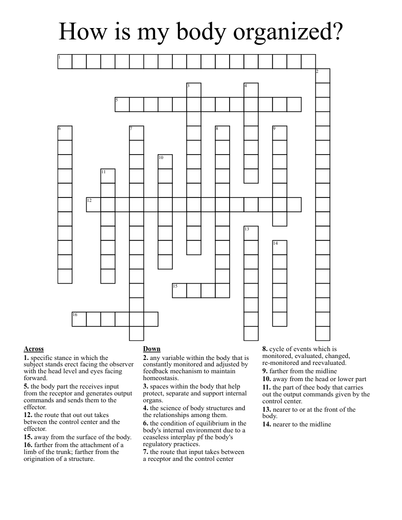 How is my body organized? Crossword