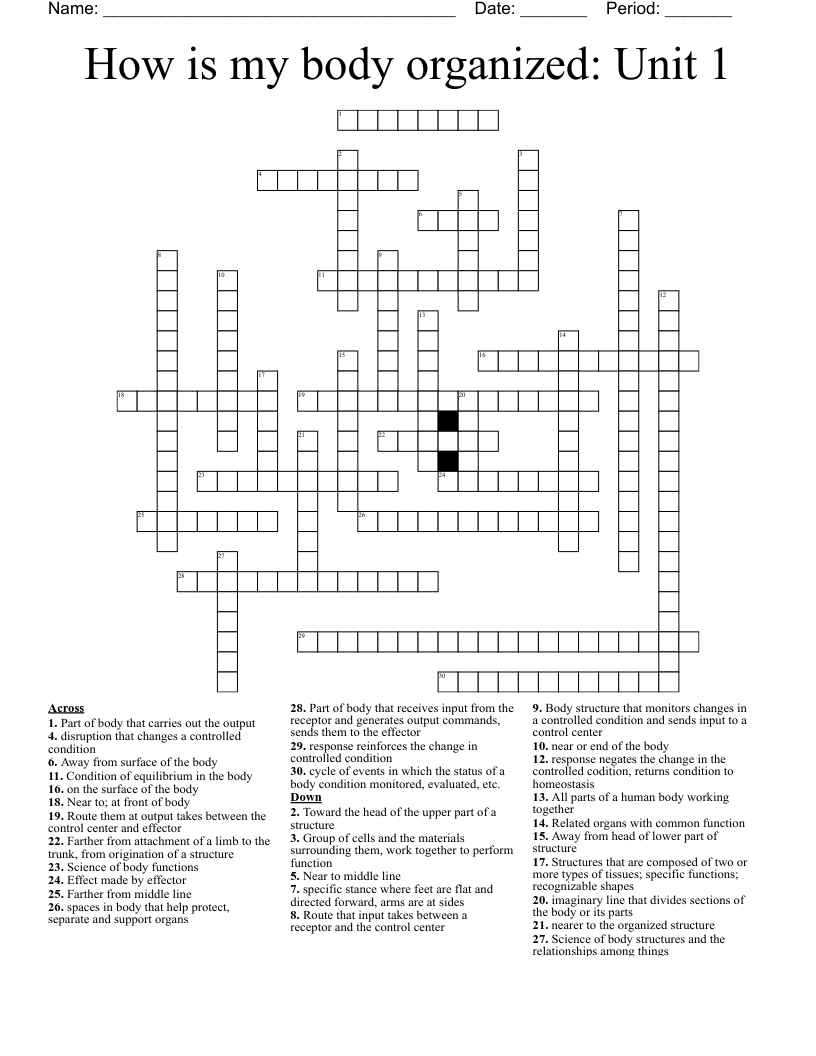 How is my body organized: Unit 1 Crossword