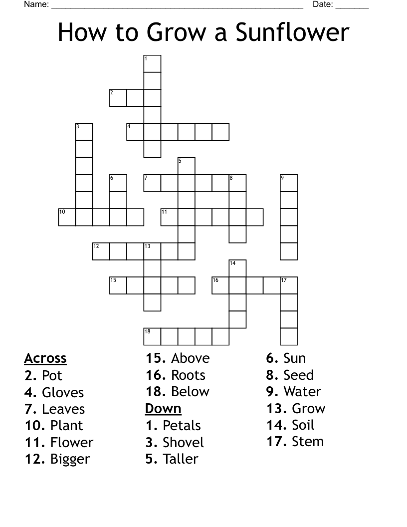 How to Grow a Sunflower Crossword