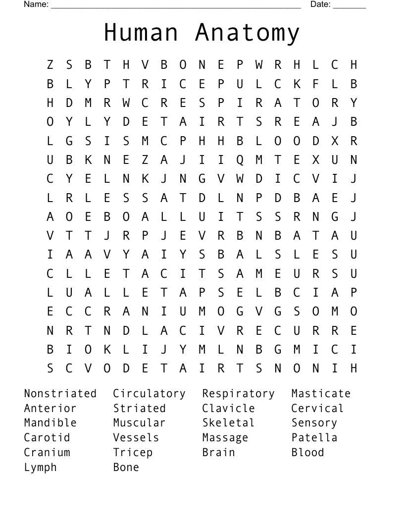 Human Anatomy Word Search