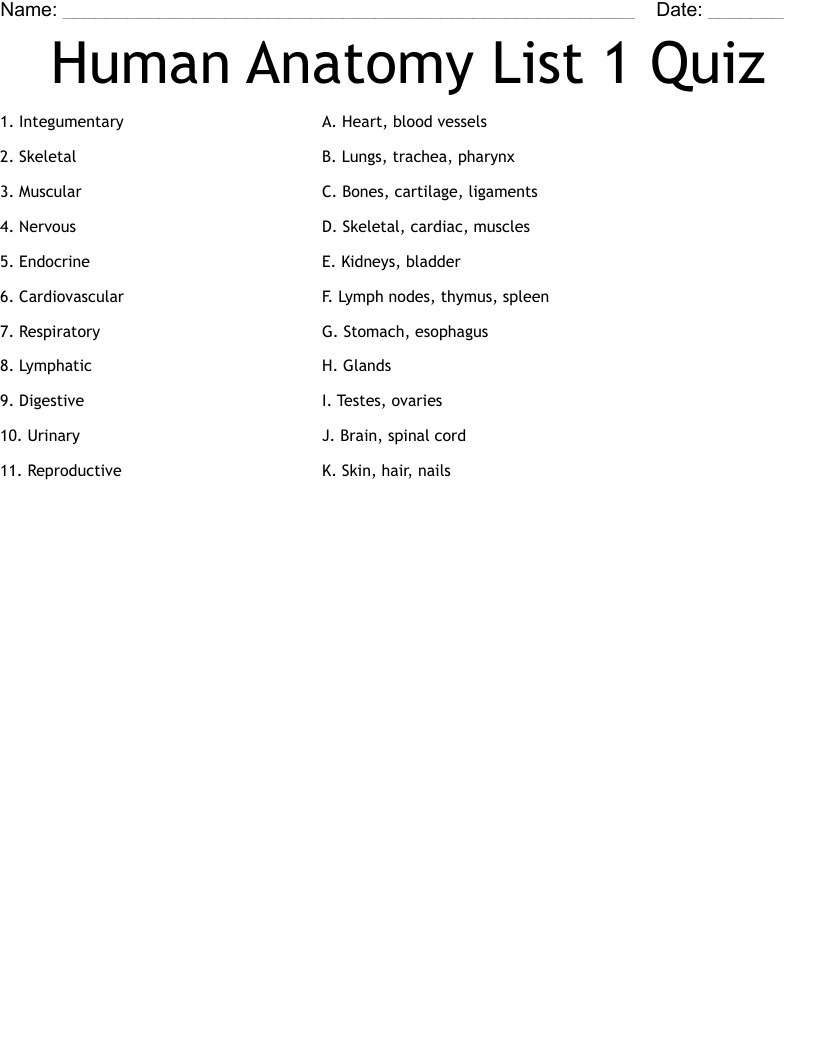 Human Anatomy List 1 Quiz Worksheet