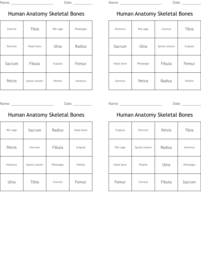 Human Anatomy Skeletal Bones Bingo Cards