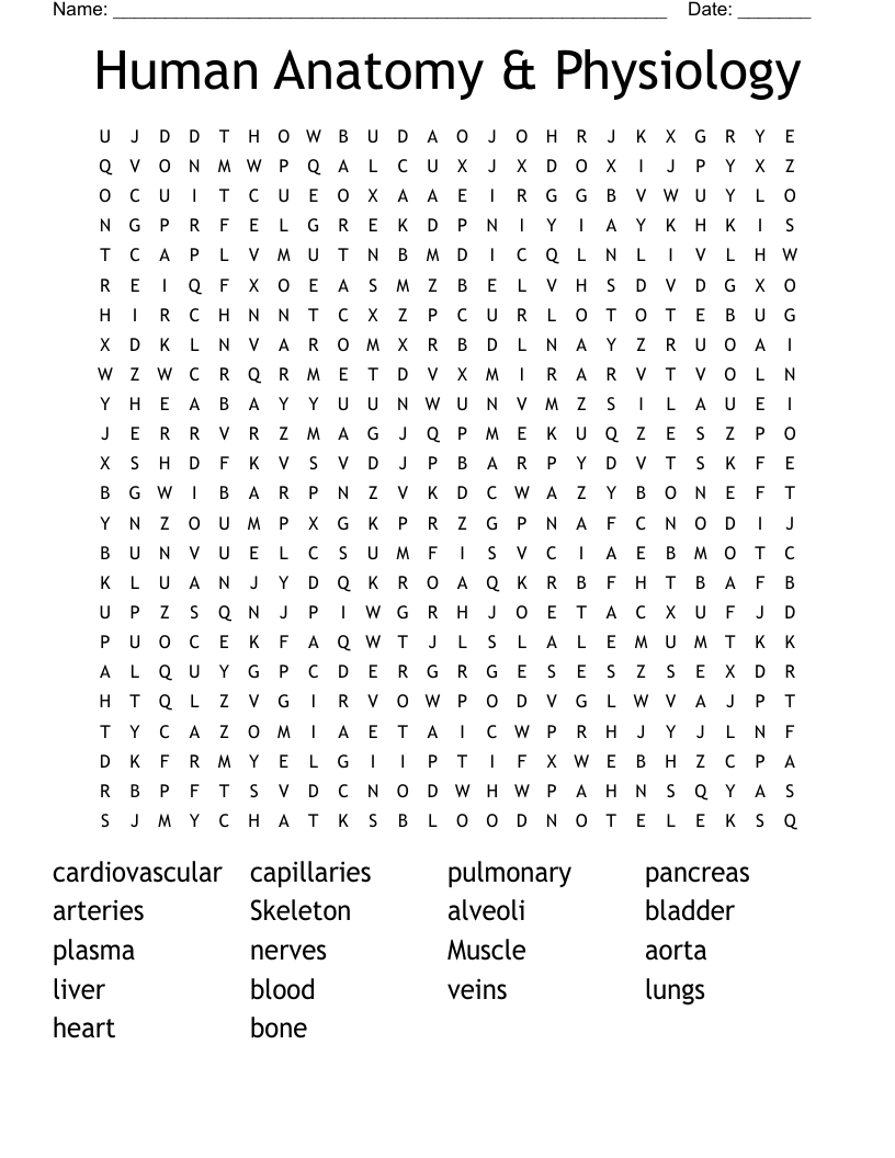 Human Anatomy & Physiology Word Search