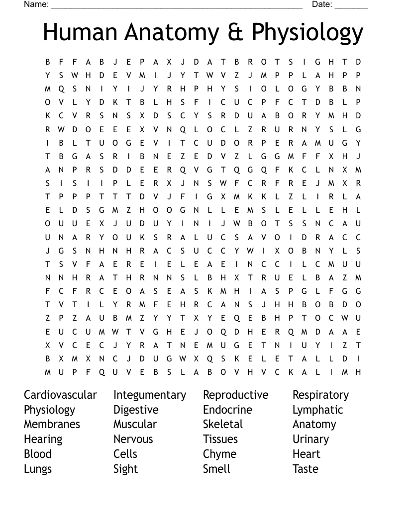 Human Anatomy & Physiology Word Search