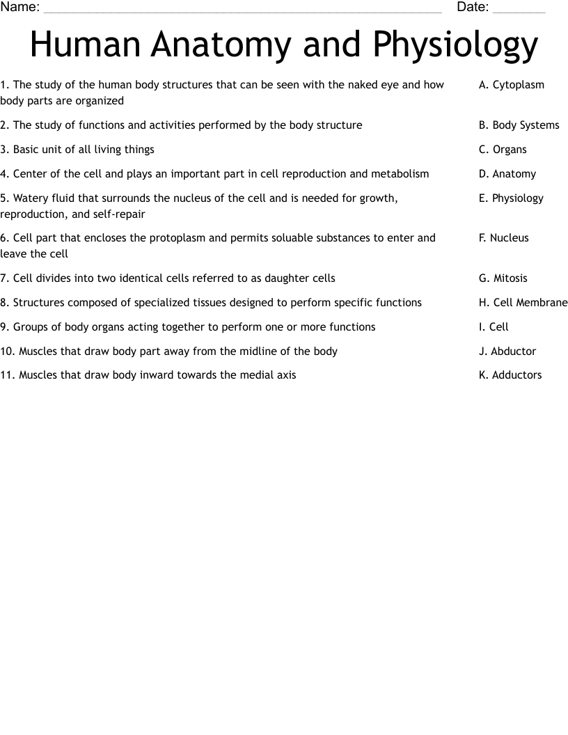 Human Anatomy and Physiology Worksheet