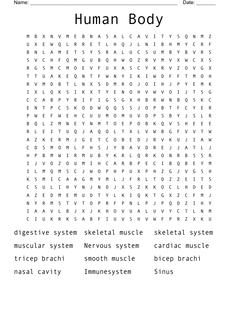 Human Body Word Search