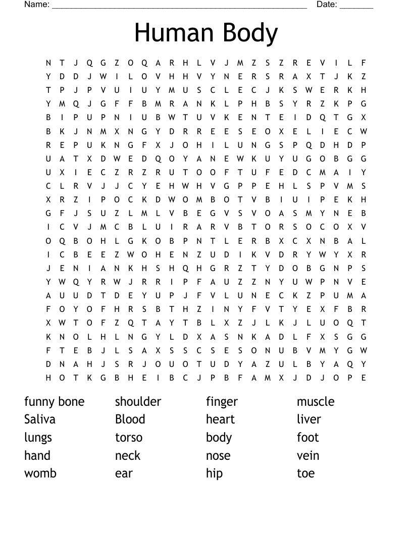 Human Body Word Search