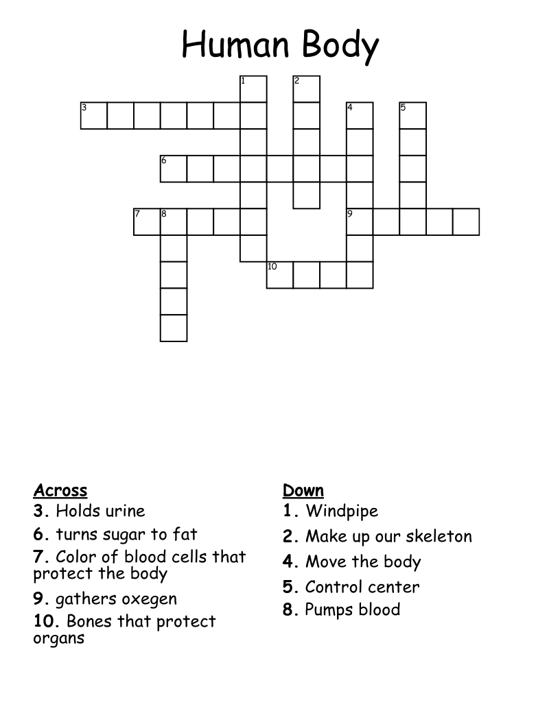 Human Body Crossword