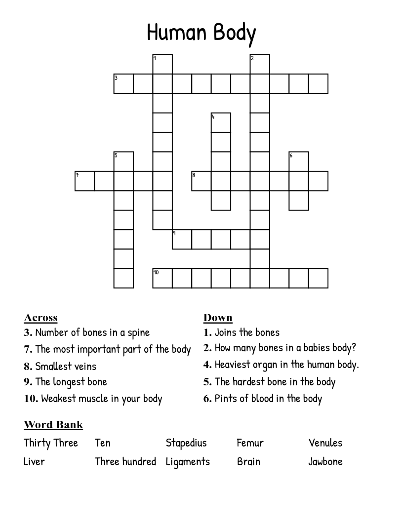 Human Body Crossword