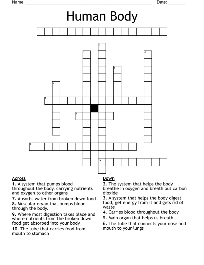 Human Body Crossword
