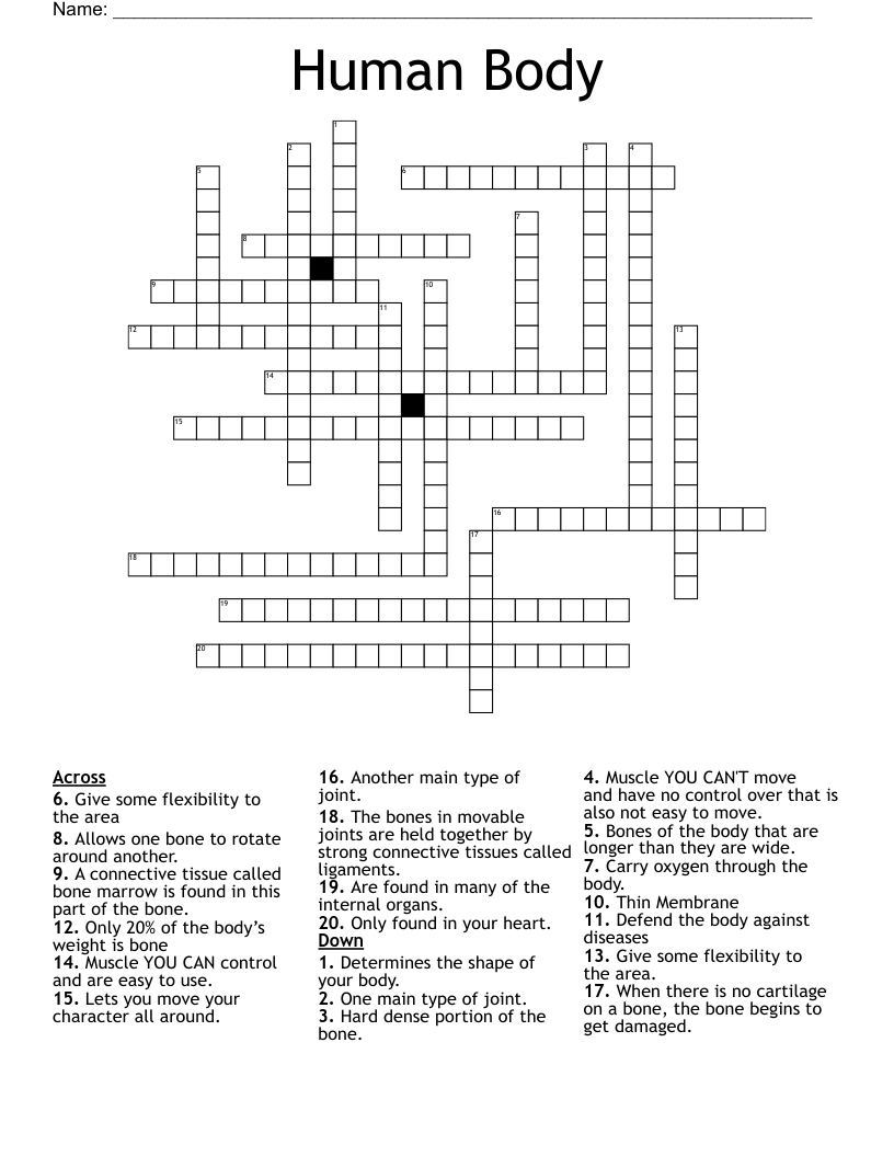 Human Body Crossword