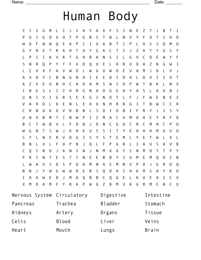 Human Body Word Search