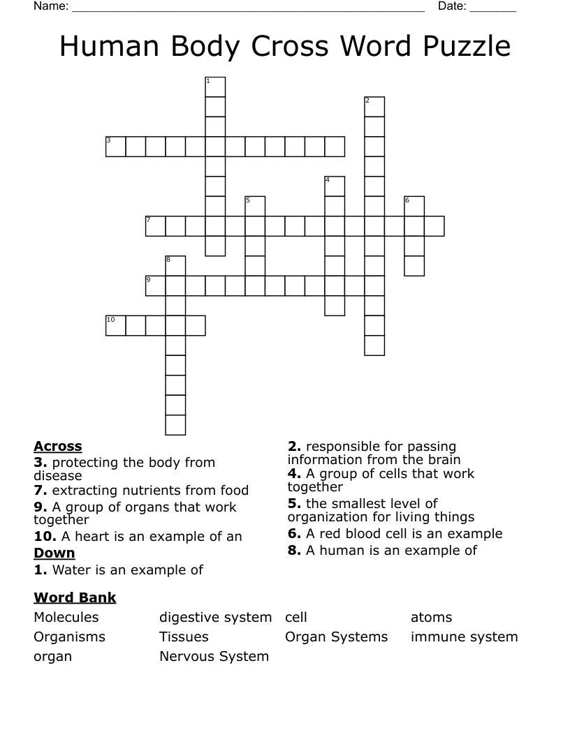 Human Body Cross Word Puzzle