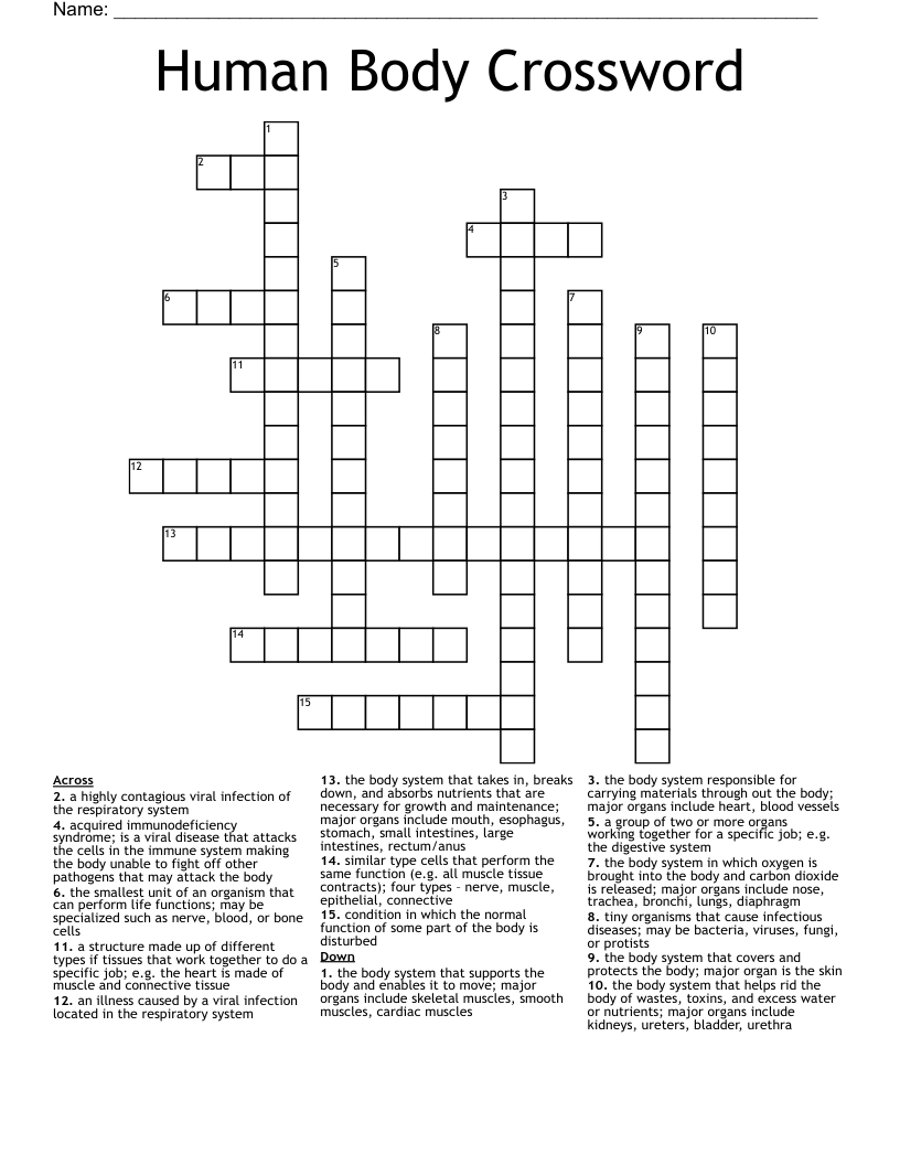 Human Body Crossword 