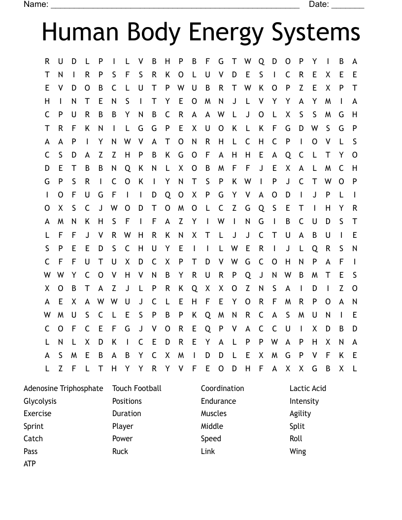 Human Body Energy Systems Word Search