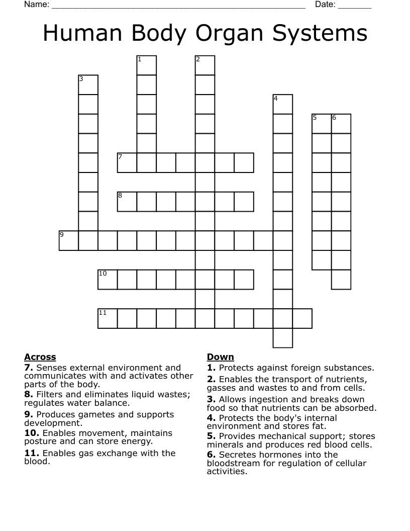 Human Body Organ Systems Crossword